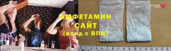 индика Богородицк