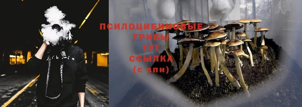 дмт Белокуриха