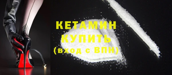 индика Богородицк