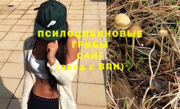 прущий лед Богородск
