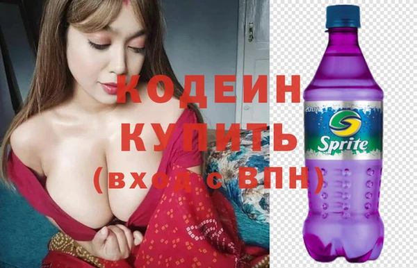 индика Богородицк