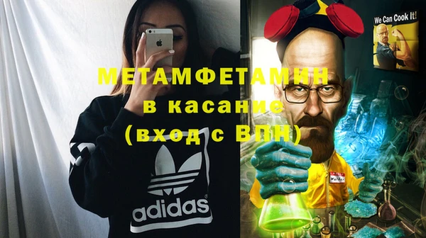 индика Богородицк