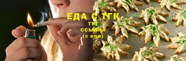 индика Богородицк