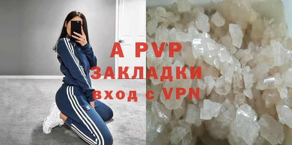 дмт Белокуриха