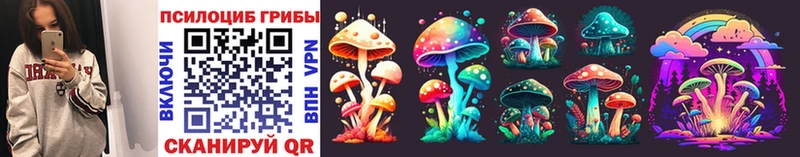 Галлюциногенные грибы Magic Shrooms  блэк спрут ссылки  Гатчина 